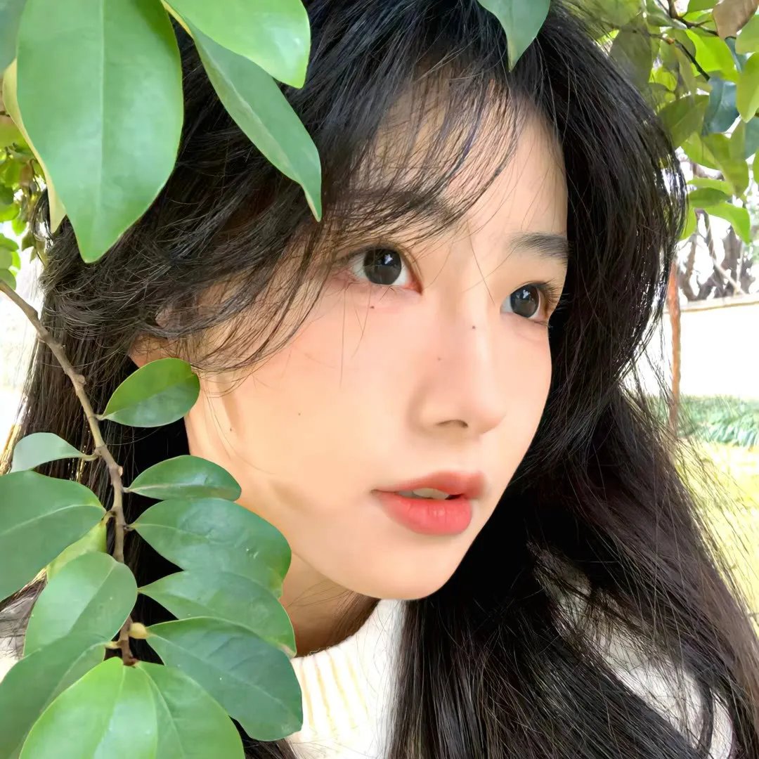 69式夏天